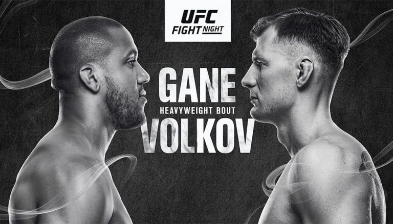 Выводы UFC 190