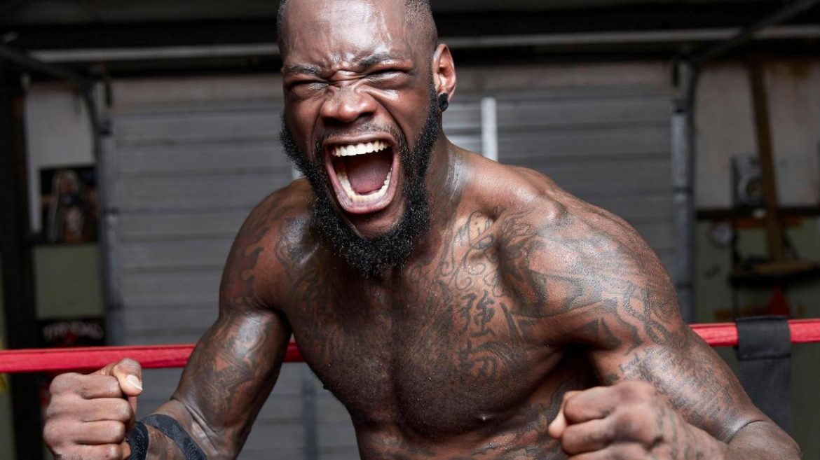 Уайлдер: «Фьюри пытался скрыться от меня словно трус, но ему некуда бежать и негде прятаться»