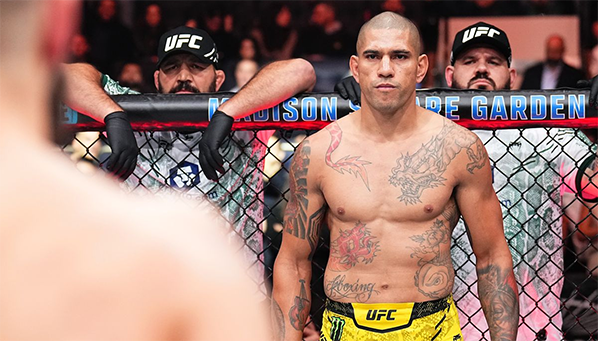 Кто станет следующим соперником Алекса Перейры?