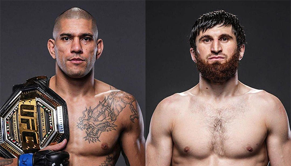 Бой Перейры и Анкалаева может пройти в октябре