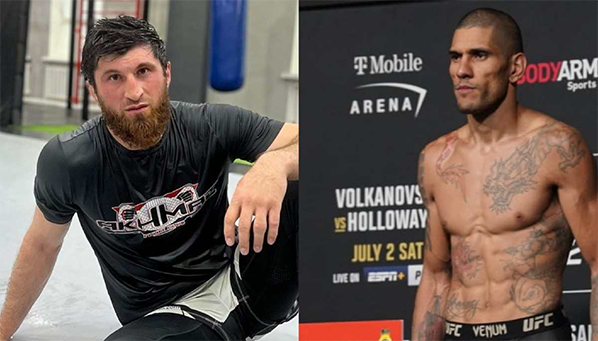 Анкалаев обещает нокаутировать Алекса Перейру