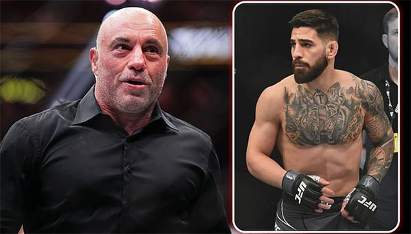 Видео: Илия Топурия работает на лапах; Роган в шоке