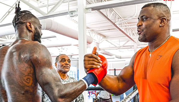 Нганну не закончил с боксом? Панчер жаждет встречи с панчером!