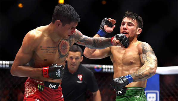 Бонусы UFC 306: нокаут ударом навстречу оплачен!