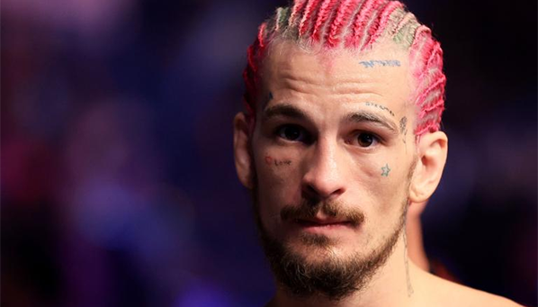 Год без Сахара? Шон О’Мэлли берет продолжительную паузу