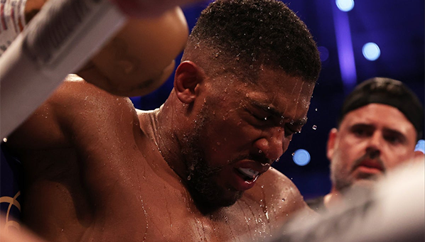 Дюбуа не стал добивать Джошуа в спарринге! Свидетельство очевидца