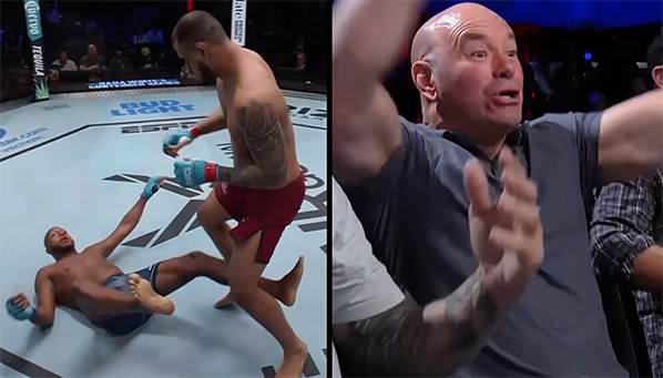 Видео: тяжелый нокаут с одного удара на турнире DWCS