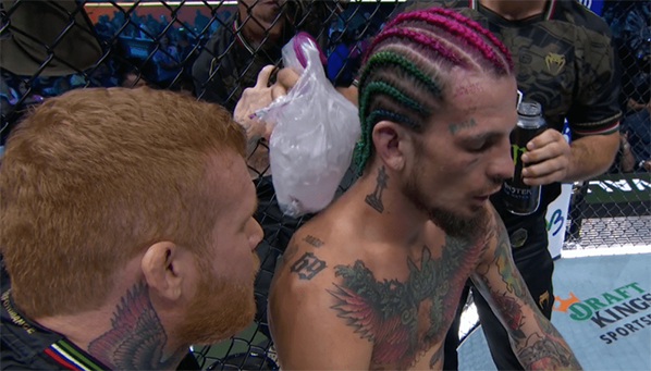 Где ты, тренер: что не так с командой О’Мэлли?