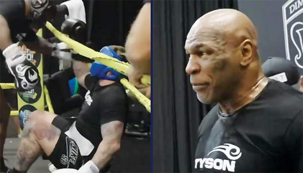 Видео: спарринг с Тайсоном переживут не все