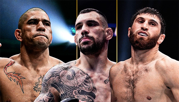 Не побьет Ракича? Перейра сомневается в Анкалаеве