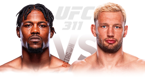 Кевин Холланд – Ренье де Риддер прогноз на UFC 311