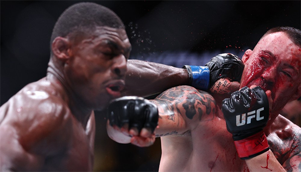 UFC FN Ковингтон vs Бакли: видео всех нокаутов