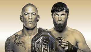 UFC 313: Перейра vs Анкалаев