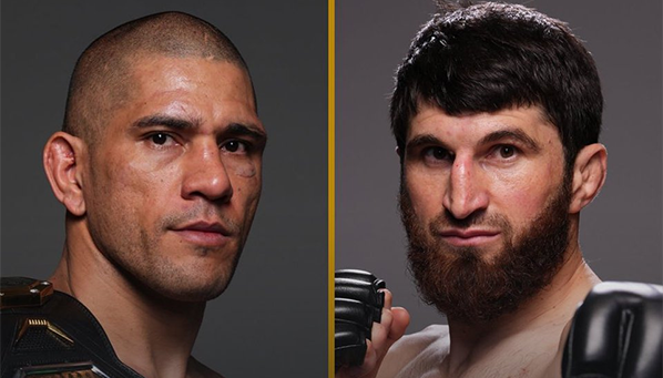 Никакого тяжелого веса: Перейра встретится с Анкалаевым