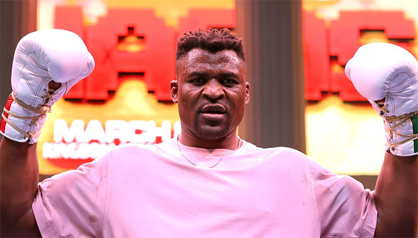 Нганну: «Следующий бой – по боксу»