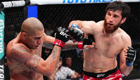 Перейра против Анкалаева: а нужен ли нам реванш?