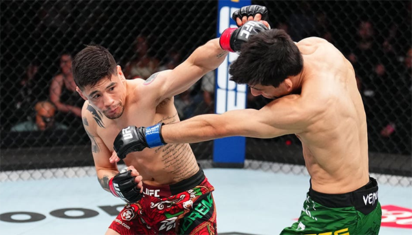 Все нокауты и сабмишены UFC FN Морено vs Эрцег