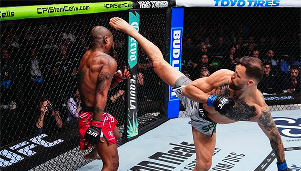 Все нокауты и сабмишены UFC 313: Перейра vs Анкалаев