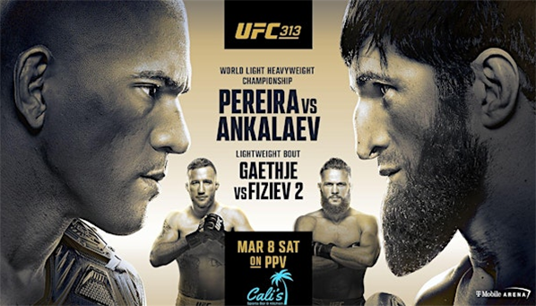 Все прогнозы на UFC 313: Перейра vs Анкалаев