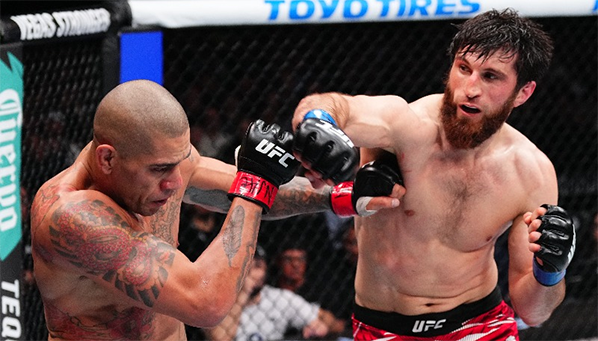 Магомед Анкалаев – новый чемпион UFC в полутяжелом весе!