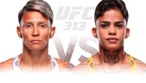 Аманда Лемос – Ясмин Лусиндо прогноз на UFC 313