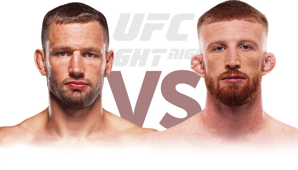 Ренье де Риддер – Бо Никал прогноз на UFC